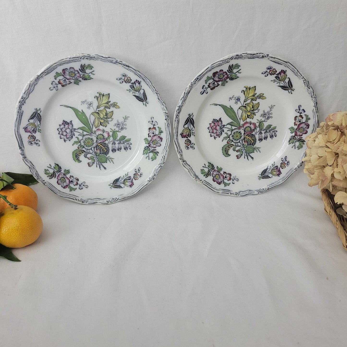 Pair Of English Staffordshire Display Plates Pinder Bourne & Hope, Hyacinth Pattern C1850