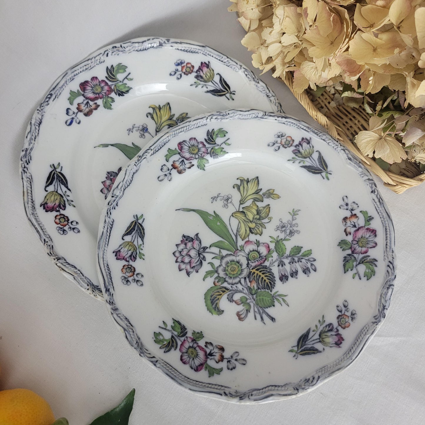Pair Of English Staffordshire Display Plates Pinder Bourne & Hope, Hyacinth Pattern C1850