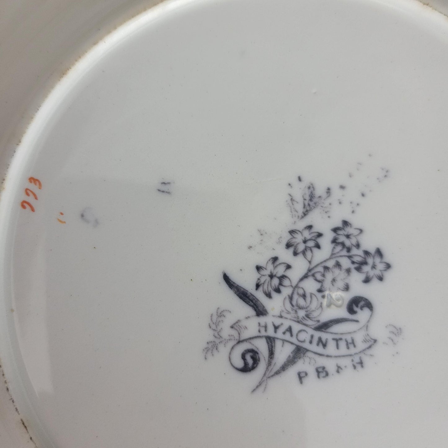 Pair Of English Staffordshire Display Plates Pinder Bourne & Hope, Hyacinth Pattern C1850