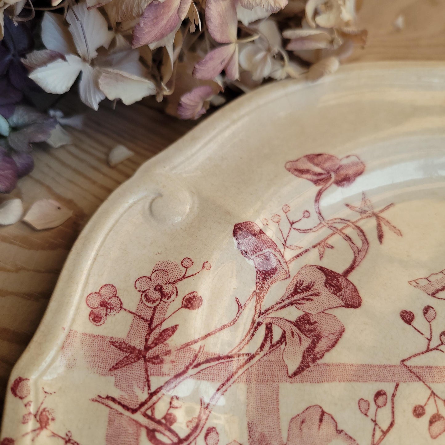 Antique Red Transferware Dinner Plate with Butterflies and Floral Motif, France c.1890