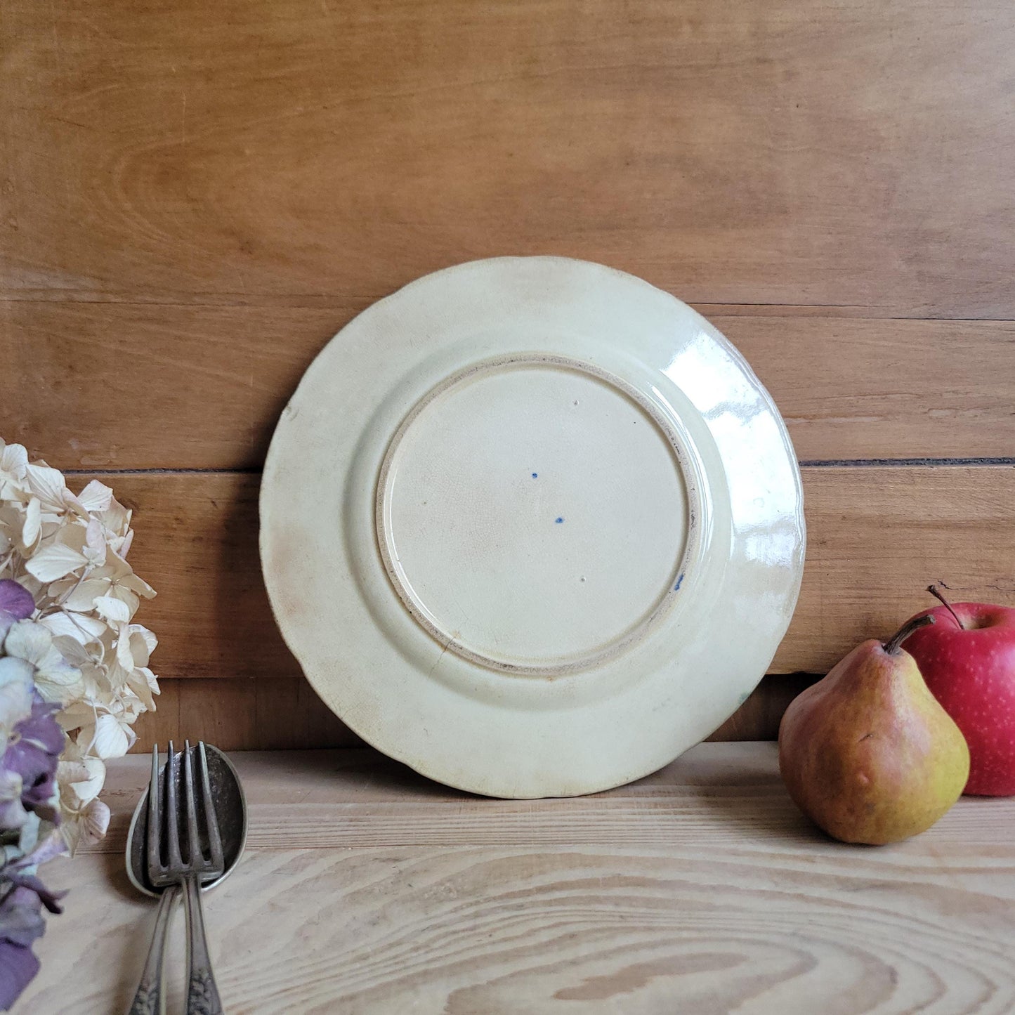 French antique barbotine majolica plate, songbirds on flower branch design, polychrome on cream-yellow ground, ridged border, France c1890