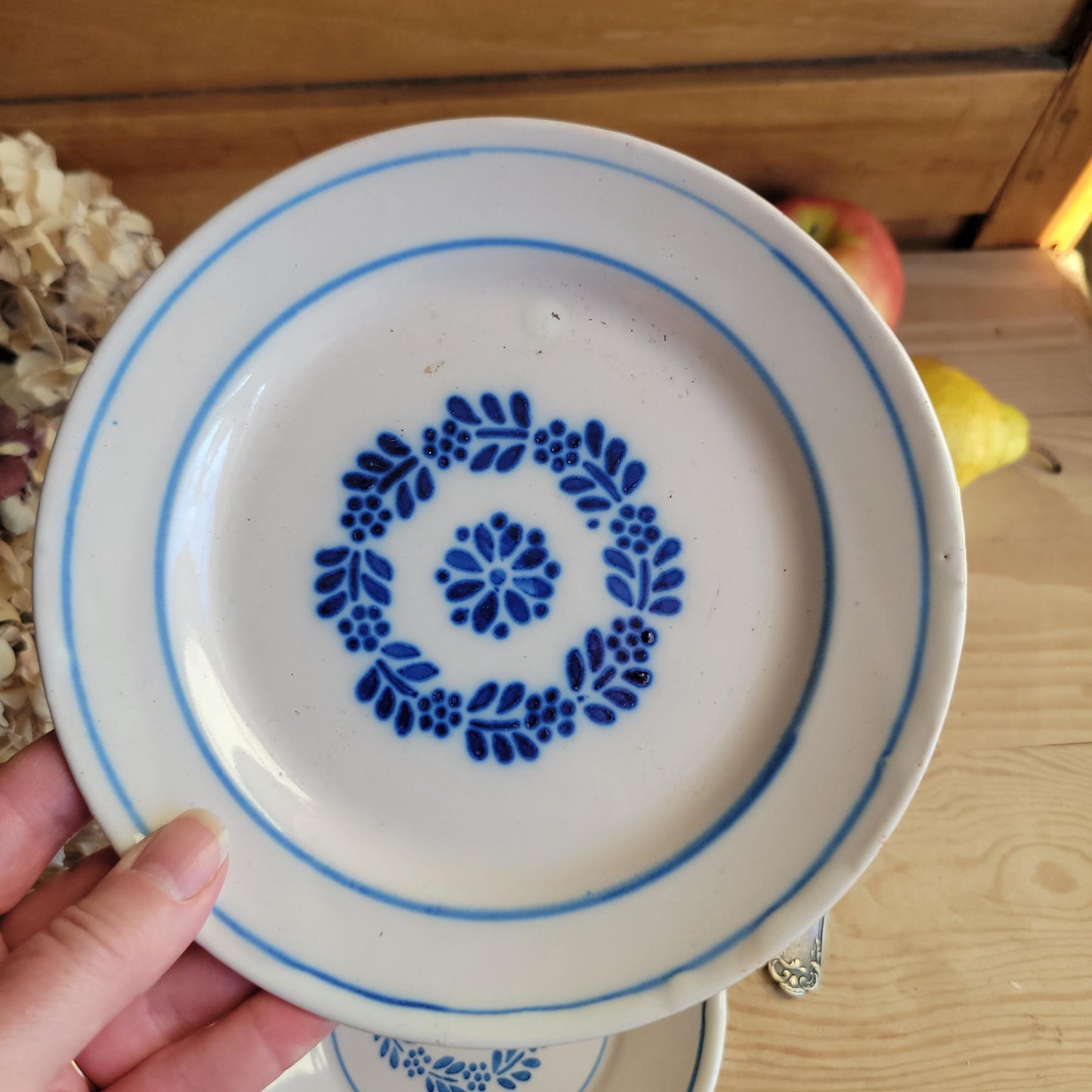 Pair of Antique Blue Transferware Side Plates, French Production c.1900