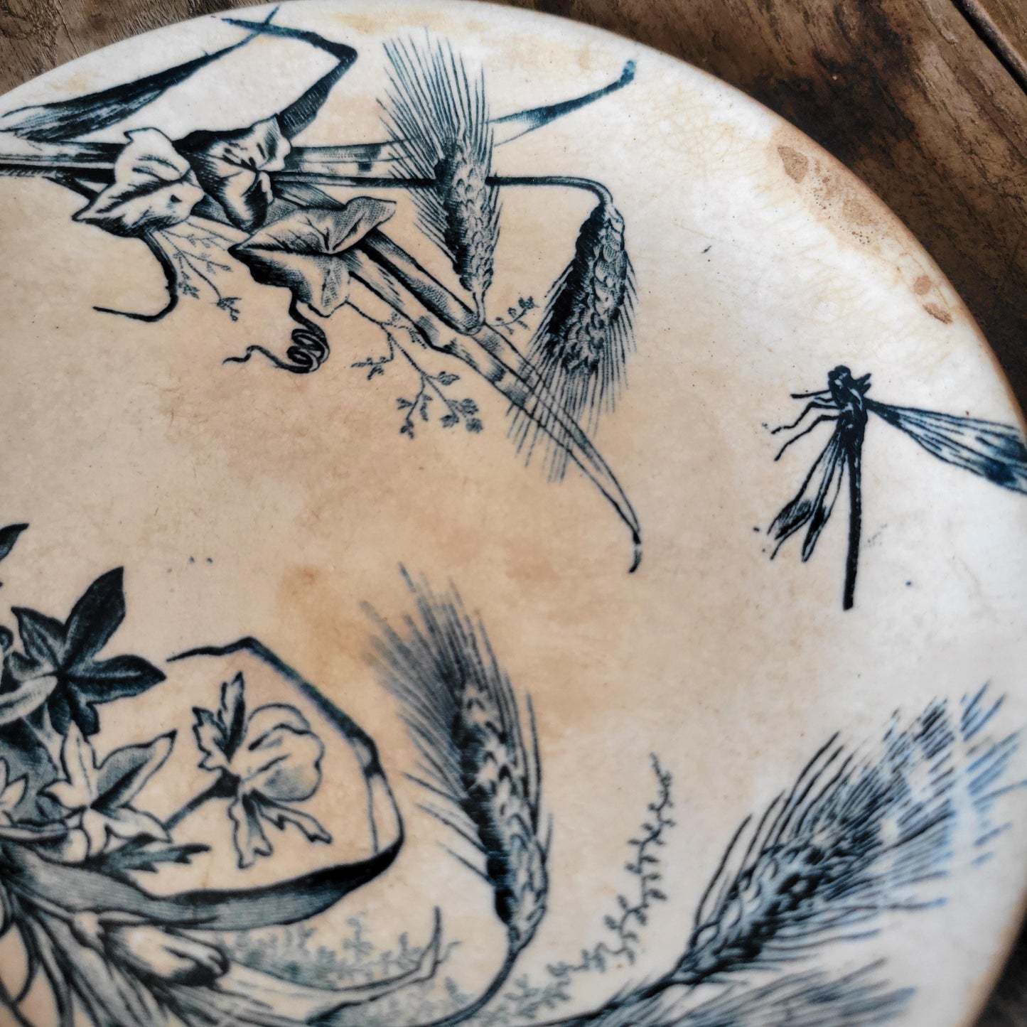 Set of Three Shabby Dragonfly Plates, Aesthetic Movement Influence, France c.1890
