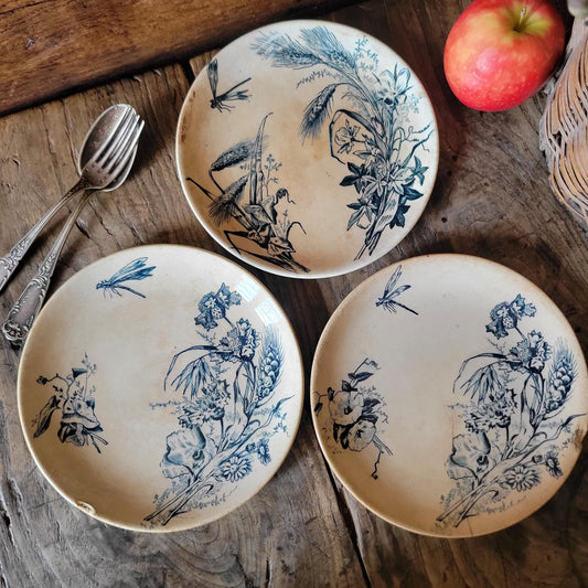 Set of Three Shabby Dragonfly Plates, Aesthetic Movement Influence, France c.1890