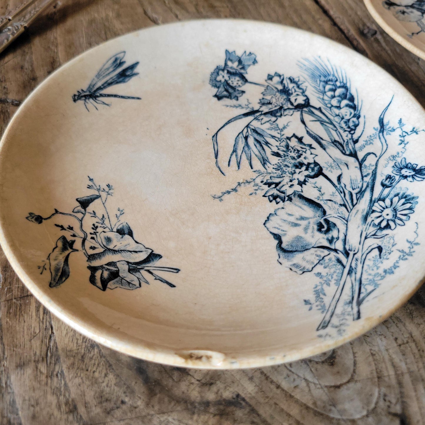 Set of Three Shabby Dragonfly Plates, Aesthetic Movement Influence, France c.1890