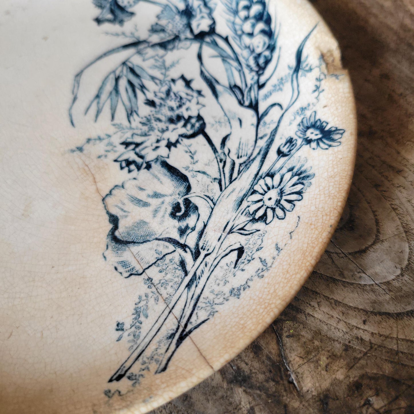 Set of Three Shabby Dragonfly Plates, Aesthetic Movement Influence, France c.1890