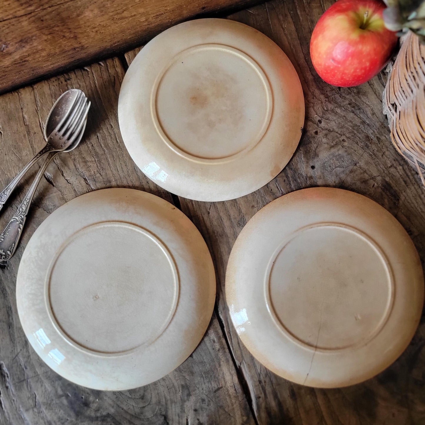 Set of Three Shabby Dragonfly Plates, Aesthetic Movement Influence, France c.1890