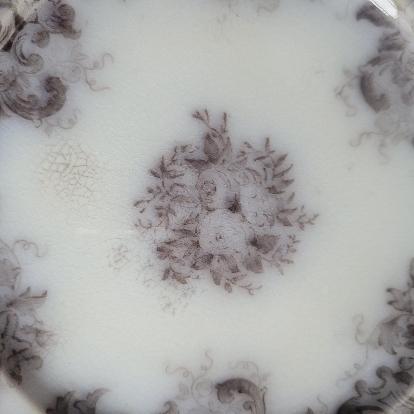 Set of 4 ‘Bryonia’ Dessert Plates b&W transferware by Sarreguemines, France c.1880