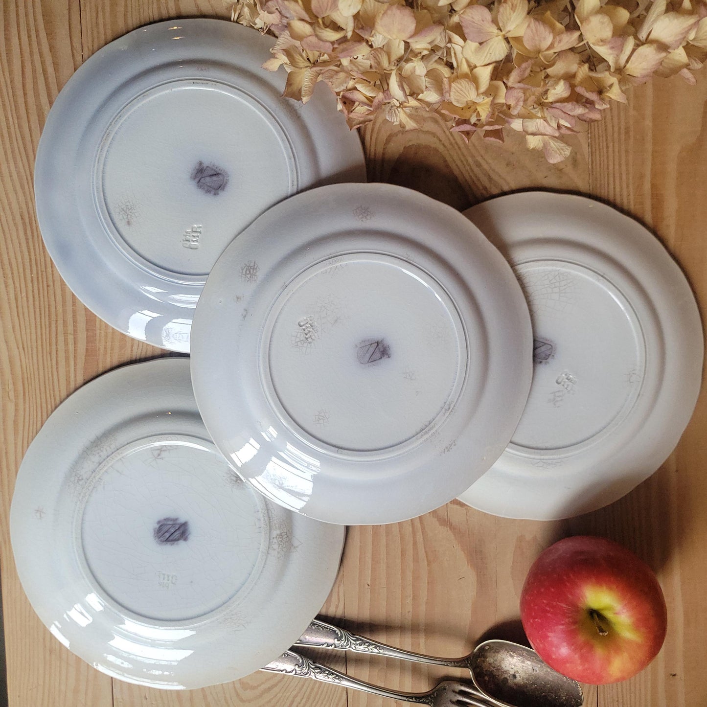 Set of 4 ‘Bryonia’ Dessert Plates b&W transferware by Sarreguemines, France c.1880
