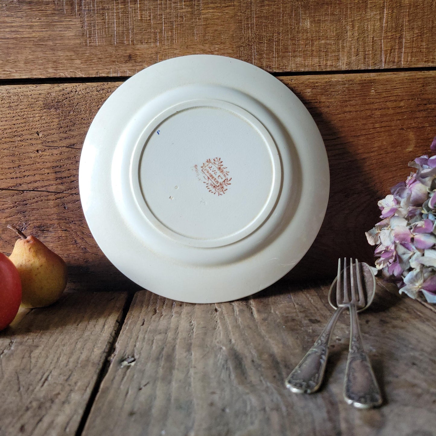 Antique Jules Vieillard Bordeaux Oiseaux plate, brown transferware, c.1880