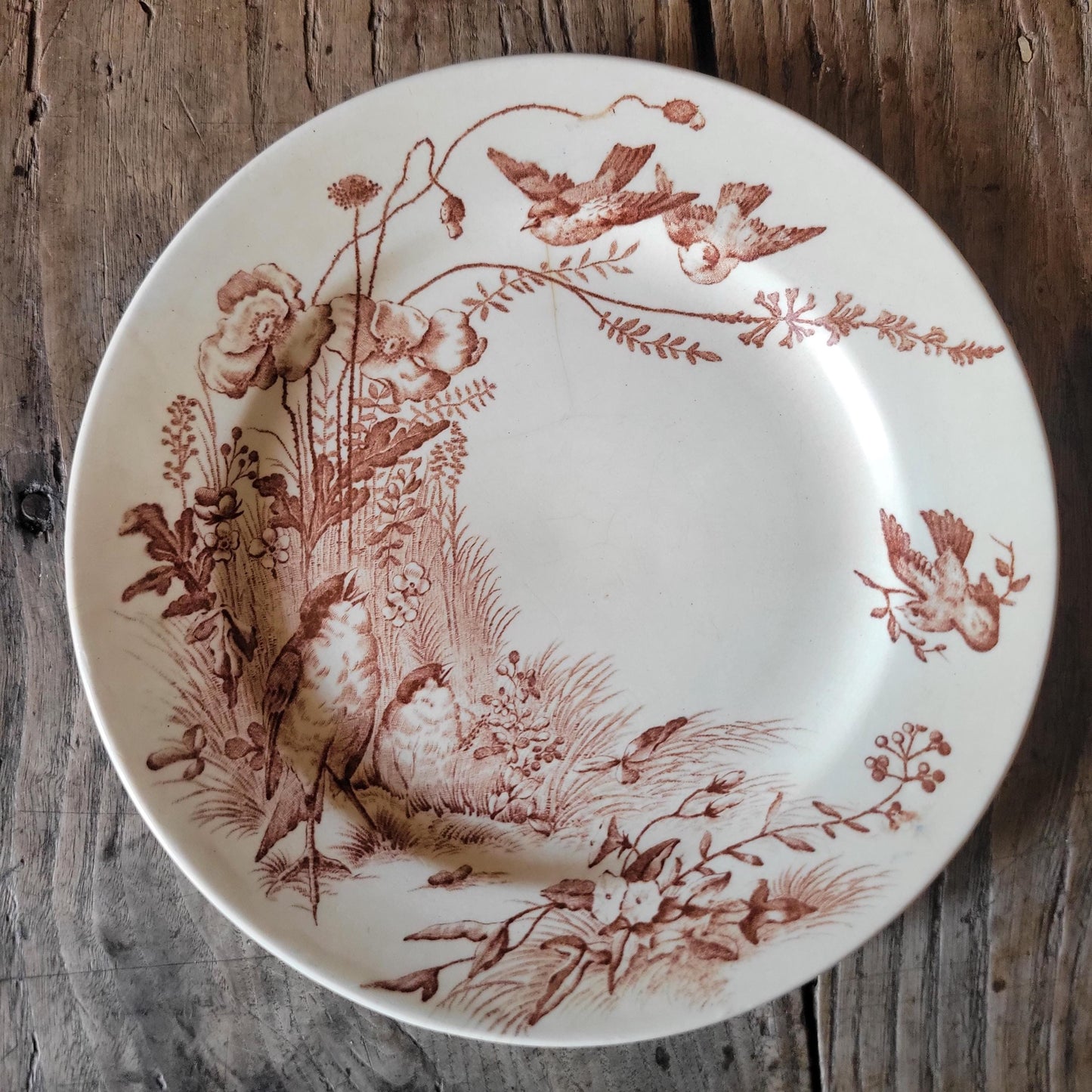 Antique Jules Vieillard Bordeaux Oiseaux plate, brown transferware, c.1880