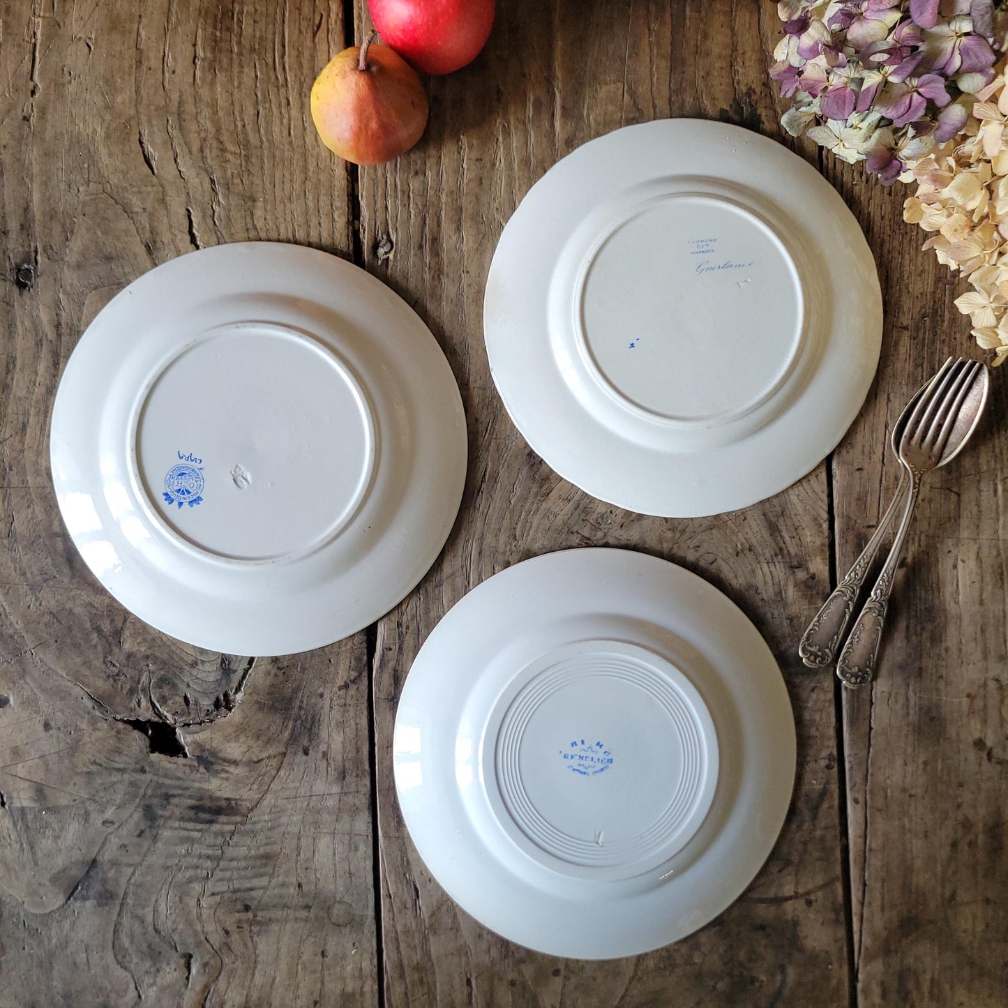 Set of 3 Antique mismatched French Blue Transferware Plates Vieillard St Amand BFK c1890