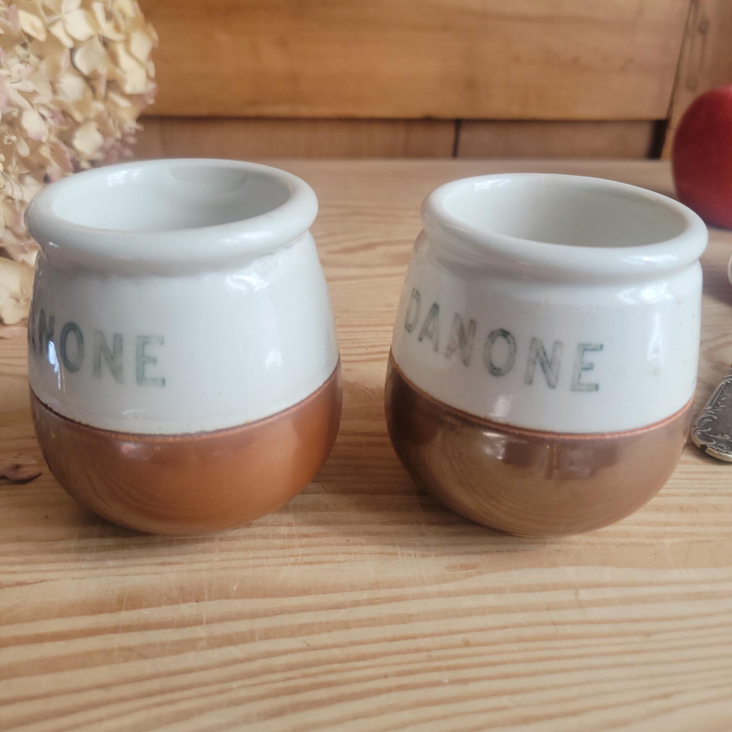 Vintage ‘Danone’ Yogurt Pot, Possibly St Uze, France c 1920