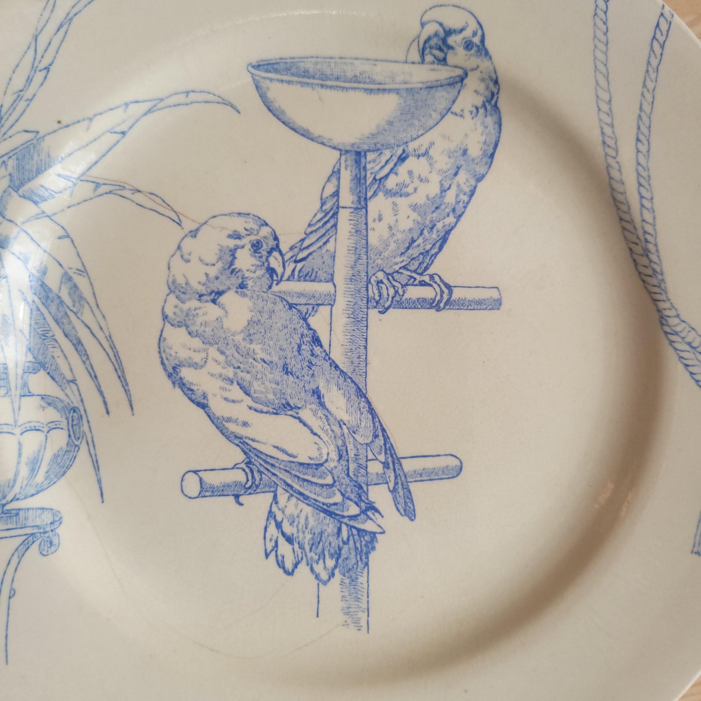 Jules Vieillard Parrot Plate, Bordeaux Faience, France c.1850