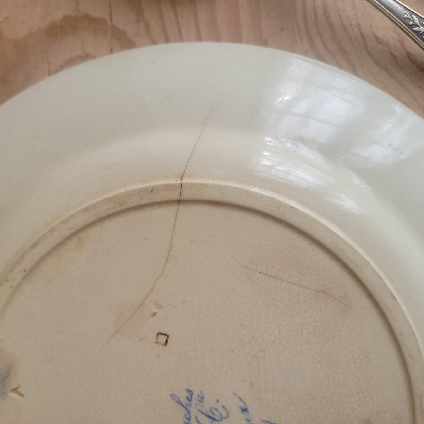 Jules Vieillard Parrot Plate, Bordeaux Faience, France c.1850