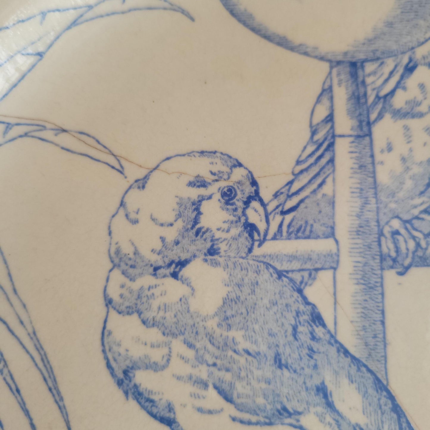 Jules Vieillard Parrot Plate, Bordeaux Faience, France c.1850