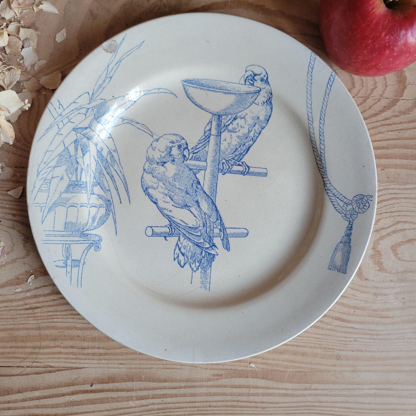 Jules Vieillard Parrot Plate, Bordeaux Faience, France c.1850