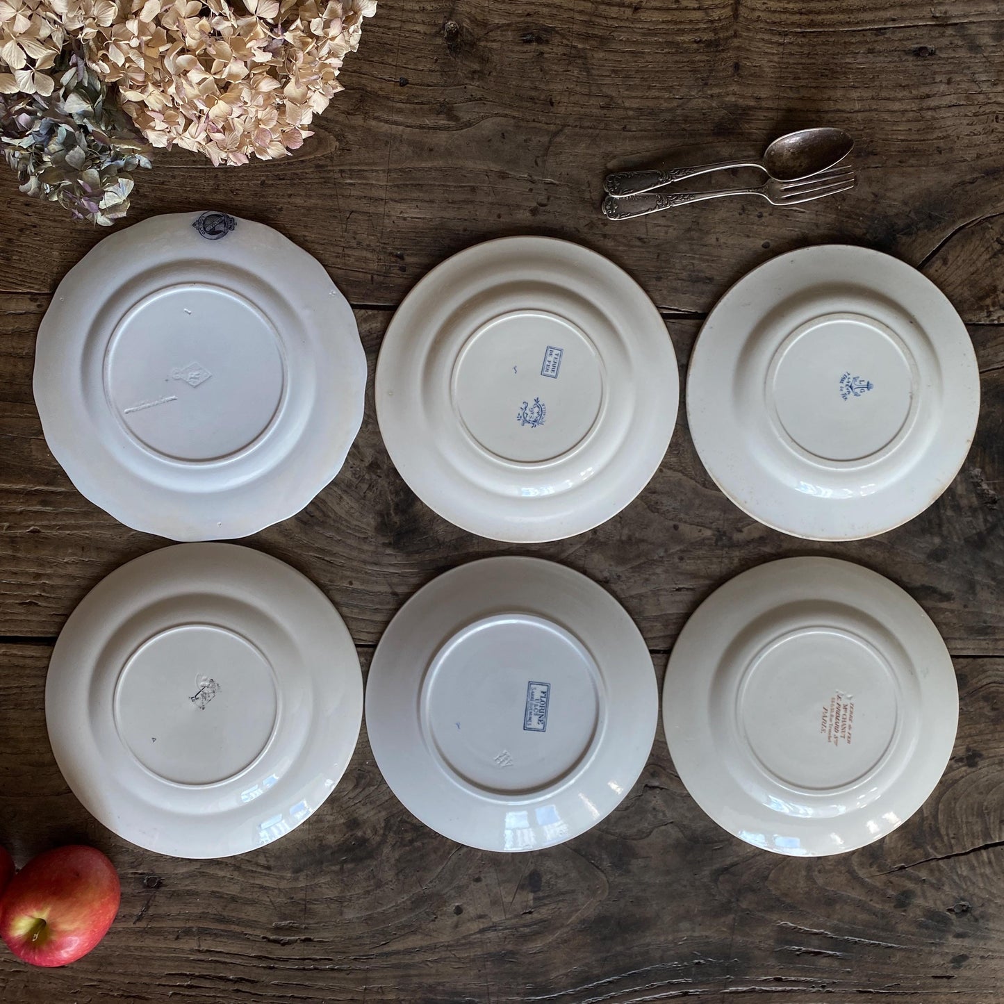 SET 6 mismatched antique ironstone dinner plates, blue and white transferware patterns, florals France c1880-1900