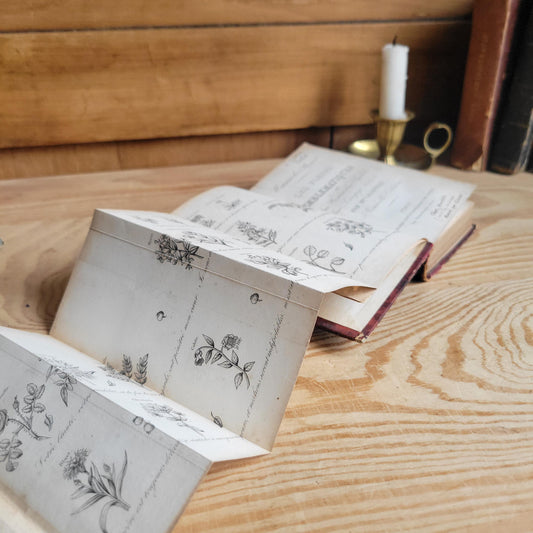 Nouveau Manuel des Fleurs Emblématiques, French Illustrated Book, 19th Century