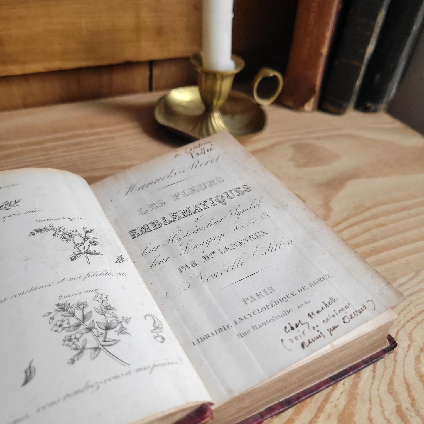 Nouveau Manuel des Fleurs Emblématiques, French Illustrated Book, 19th Century