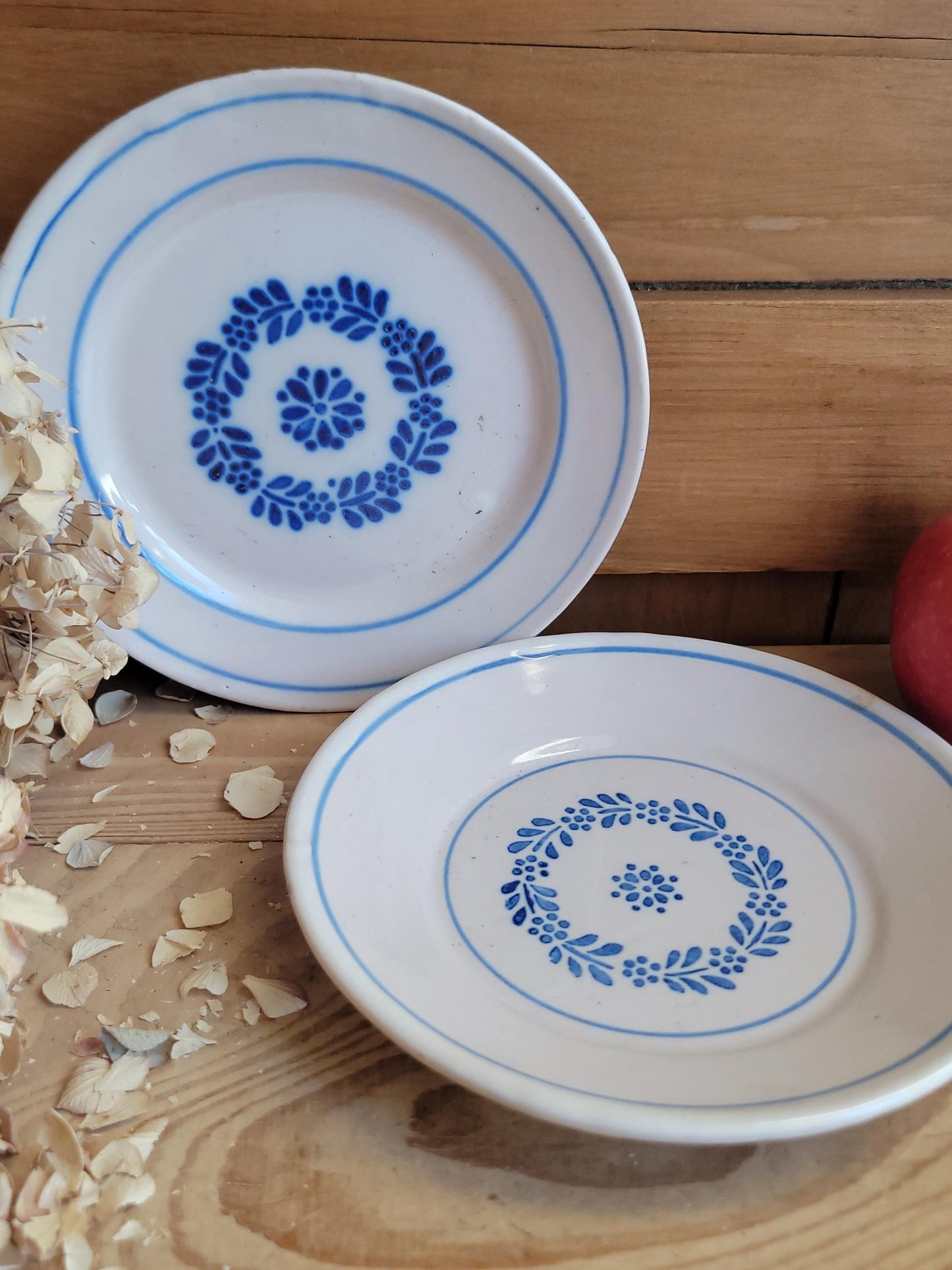 Pair of Antique Blue Transferware Side Plates, French Production c.1900