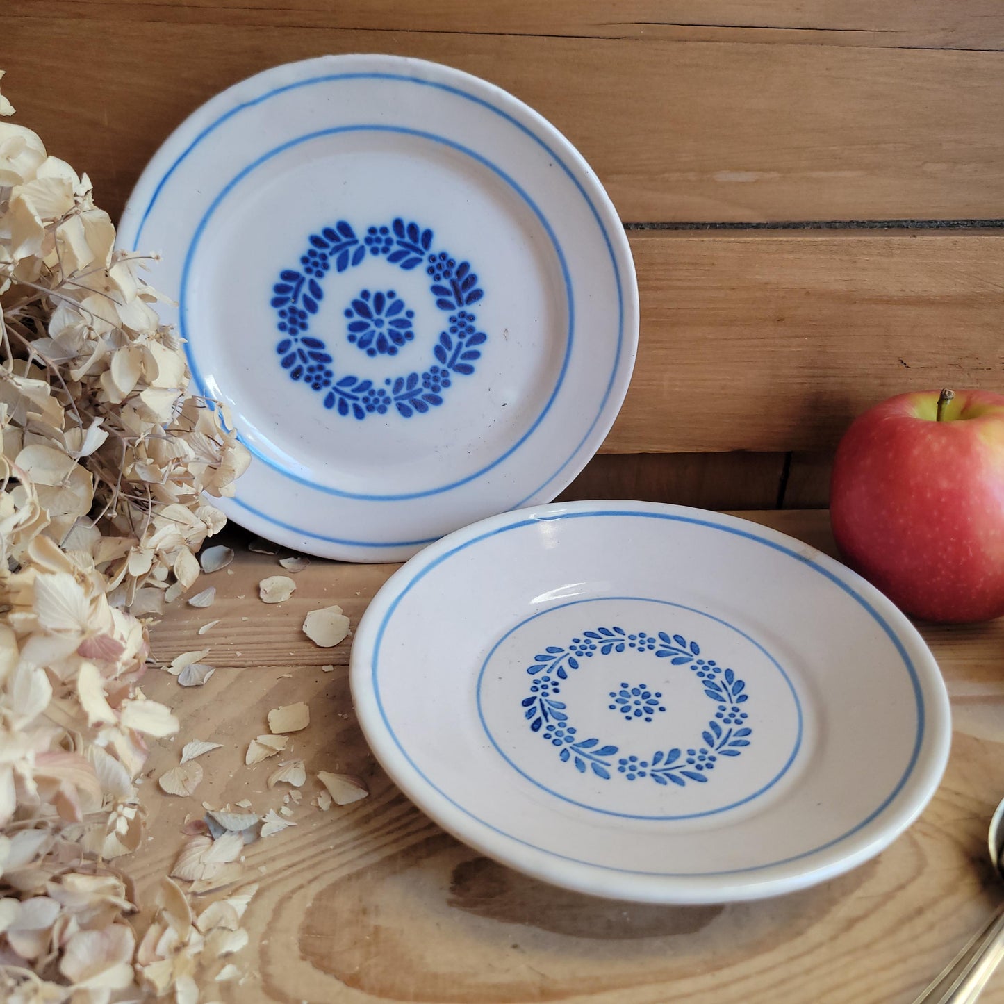 Pair of Antique Blue Transferware Side Plates, French Production c.1900
