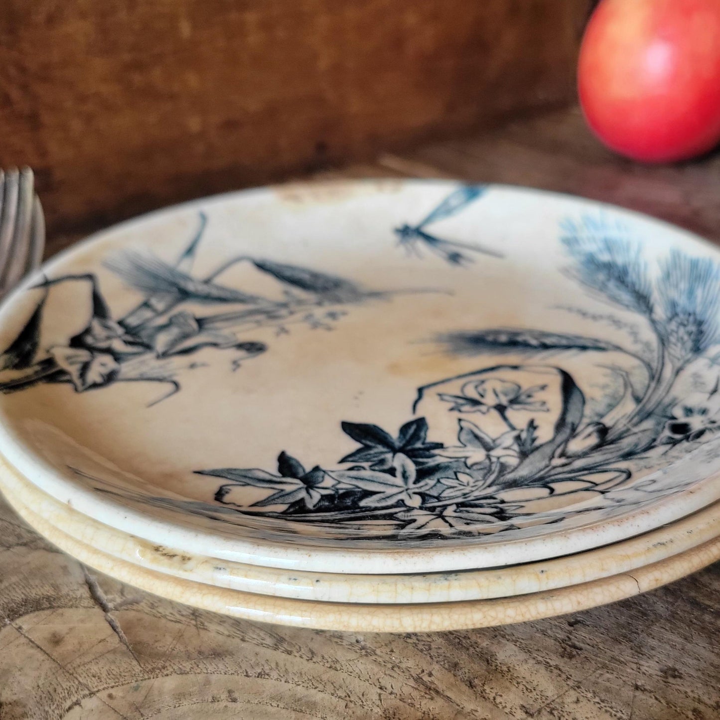 Set of Three Shabby Dragonfly Plates, Aesthetic Movement Influence, France c.1890