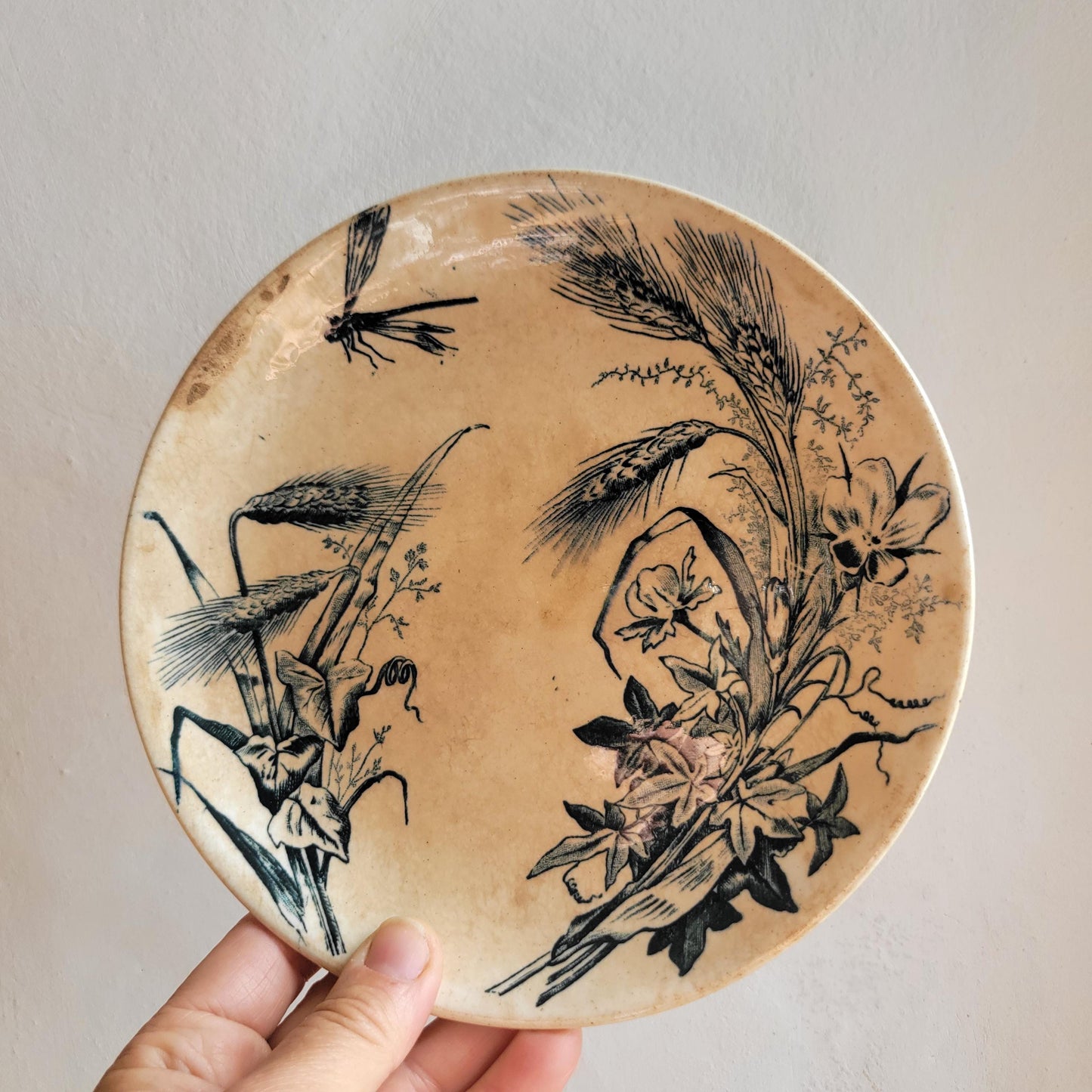 Set of Three Shabby Dragonfly Plates, Aesthetic Movement Influence, France c.1890