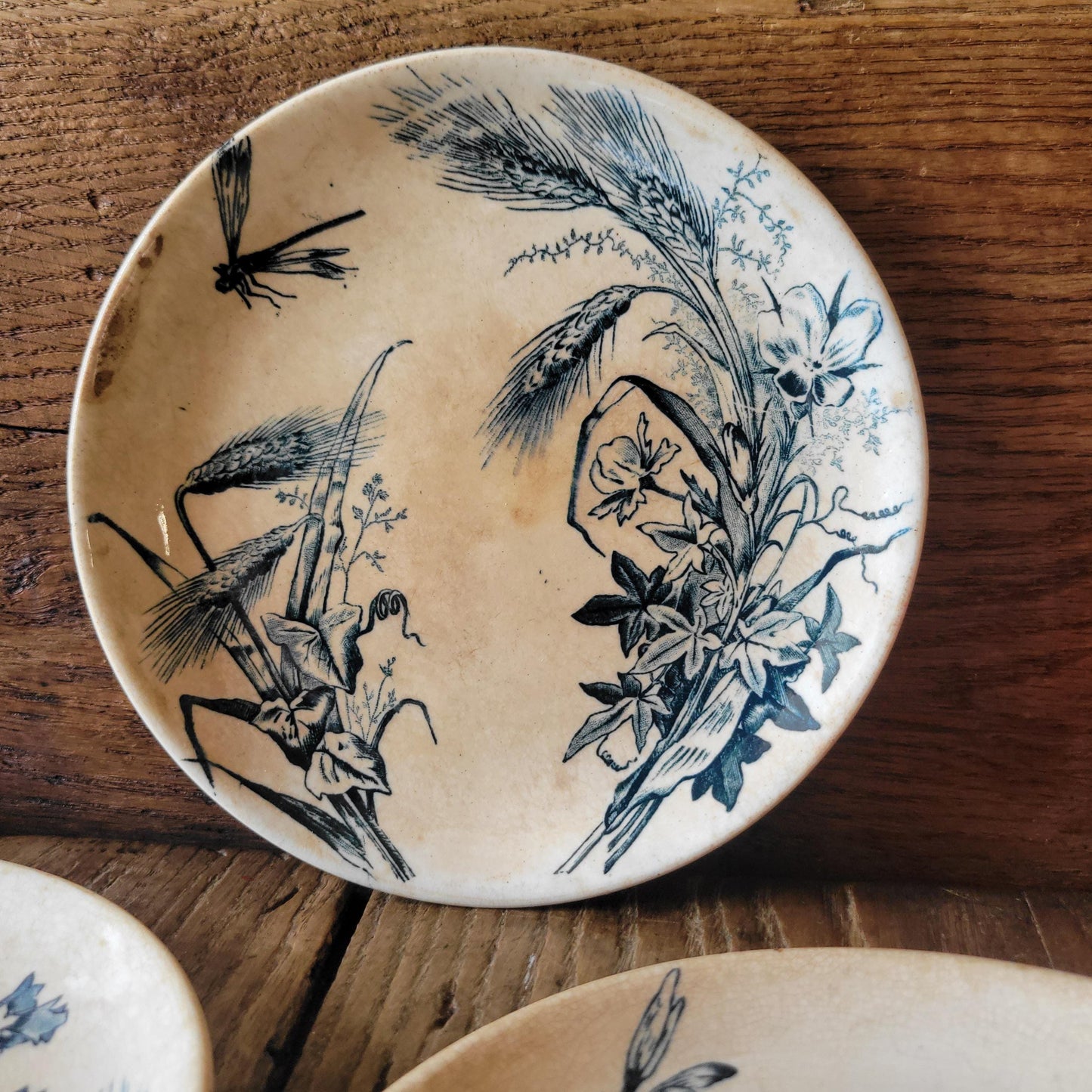 Set of Three Shabby Dragonfly Plates, Aesthetic Movement Influence, France c.1890