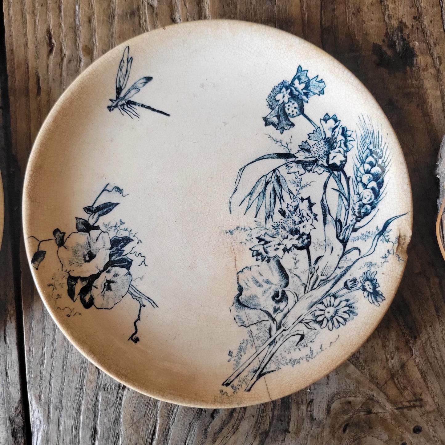 Set of Three Shabby Dragonfly Plates, Aesthetic Movement Influence, France c.1890