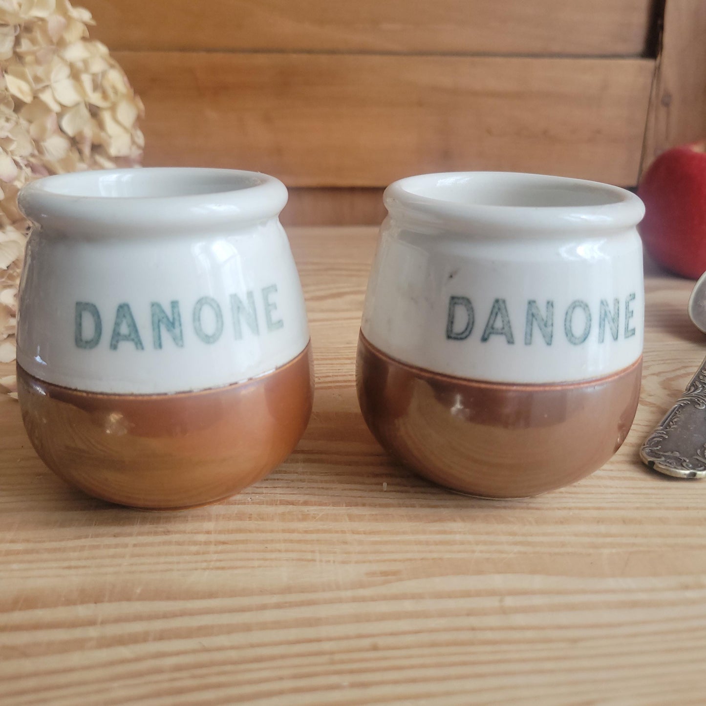 Vintage ‘Danone’ Yogurt Pot, Possibly St Uze, France c 1920