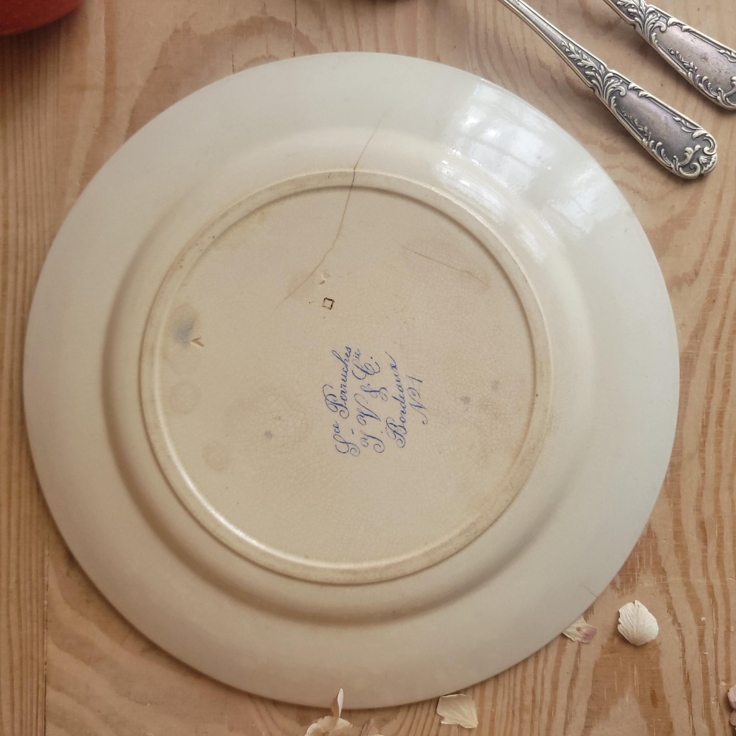 Jules Vieillard Parrot Plate, Bordeaux Faience, France c.1850