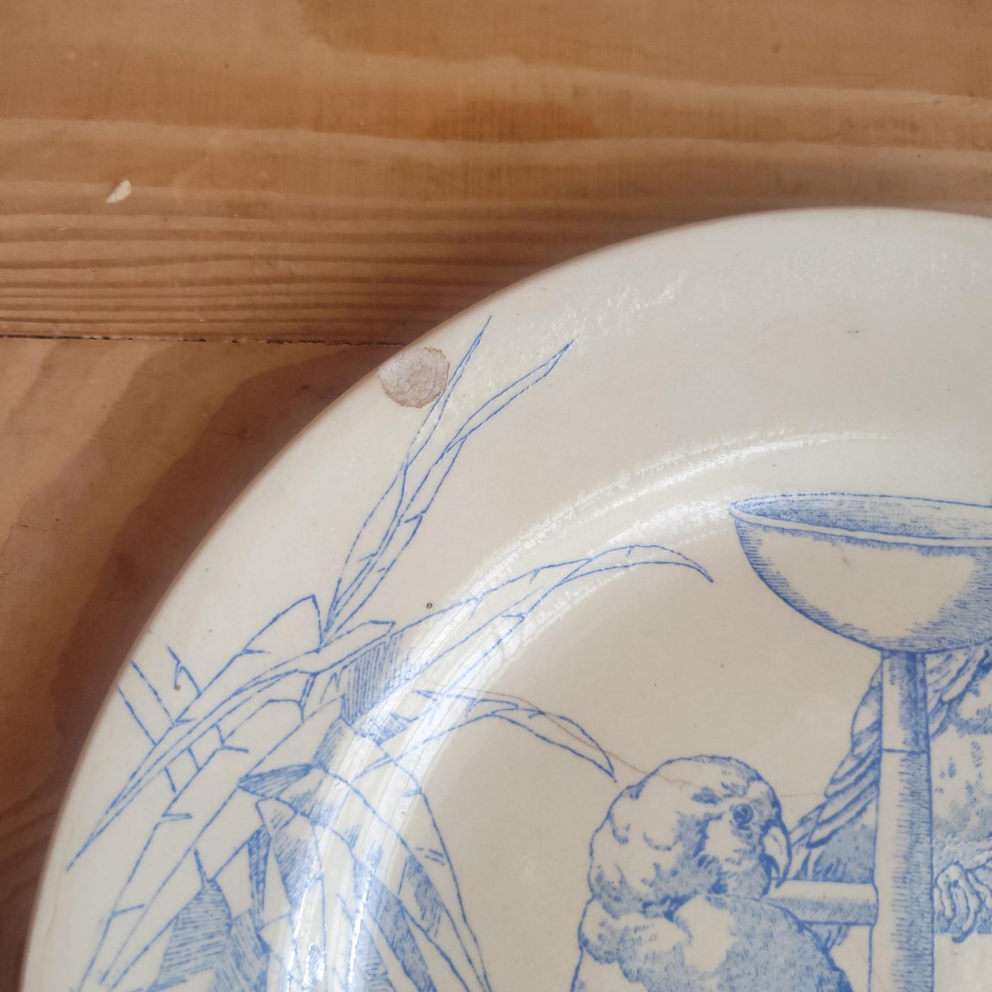 Jules Vieillard Parrot Plate, Bordeaux Faience, France c.1850