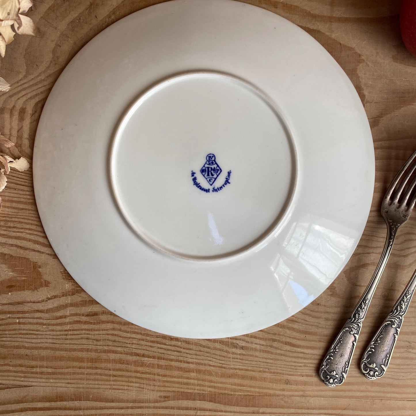 Fairy Series Staffordshire Dinner Plate ‘An Unpleasant Interruption’, Brownfield Blue Transferware, England c.1880