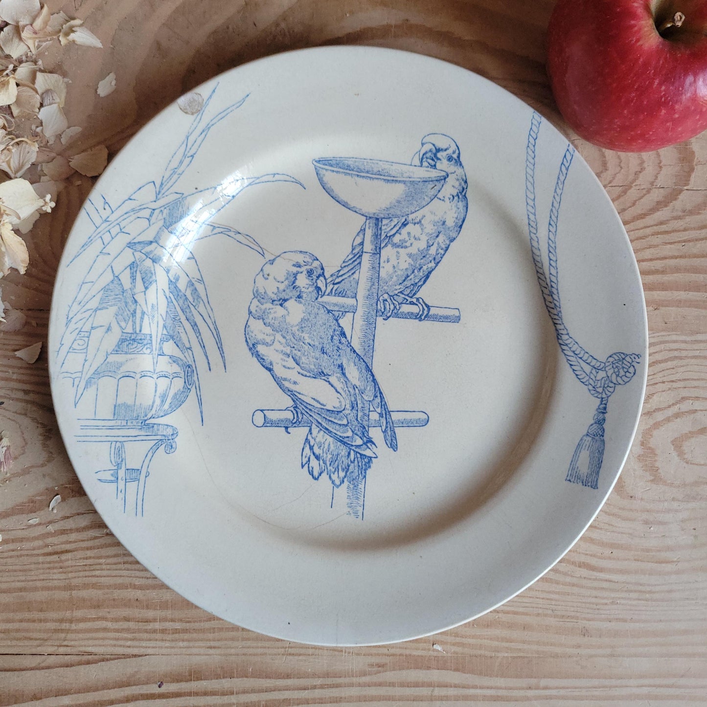 Jules Vieillard Parrot Plate, Bordeaux Faience, France c.1850