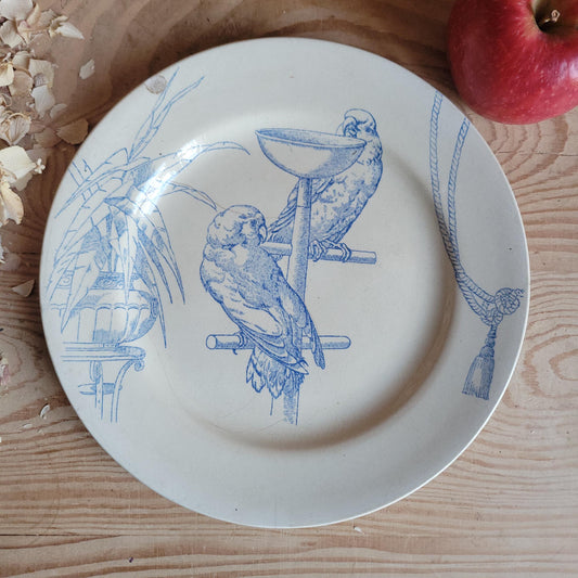 Jules Vieillard Parrot Plate, Bordeaux Faience, France c.1850