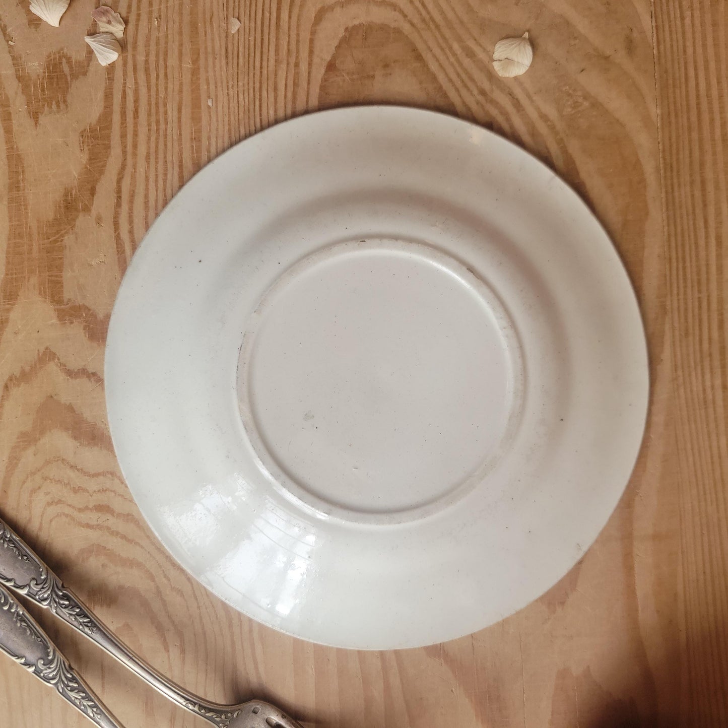 Small French Majolica Side Plate with Floral Motif, France c.19th Century