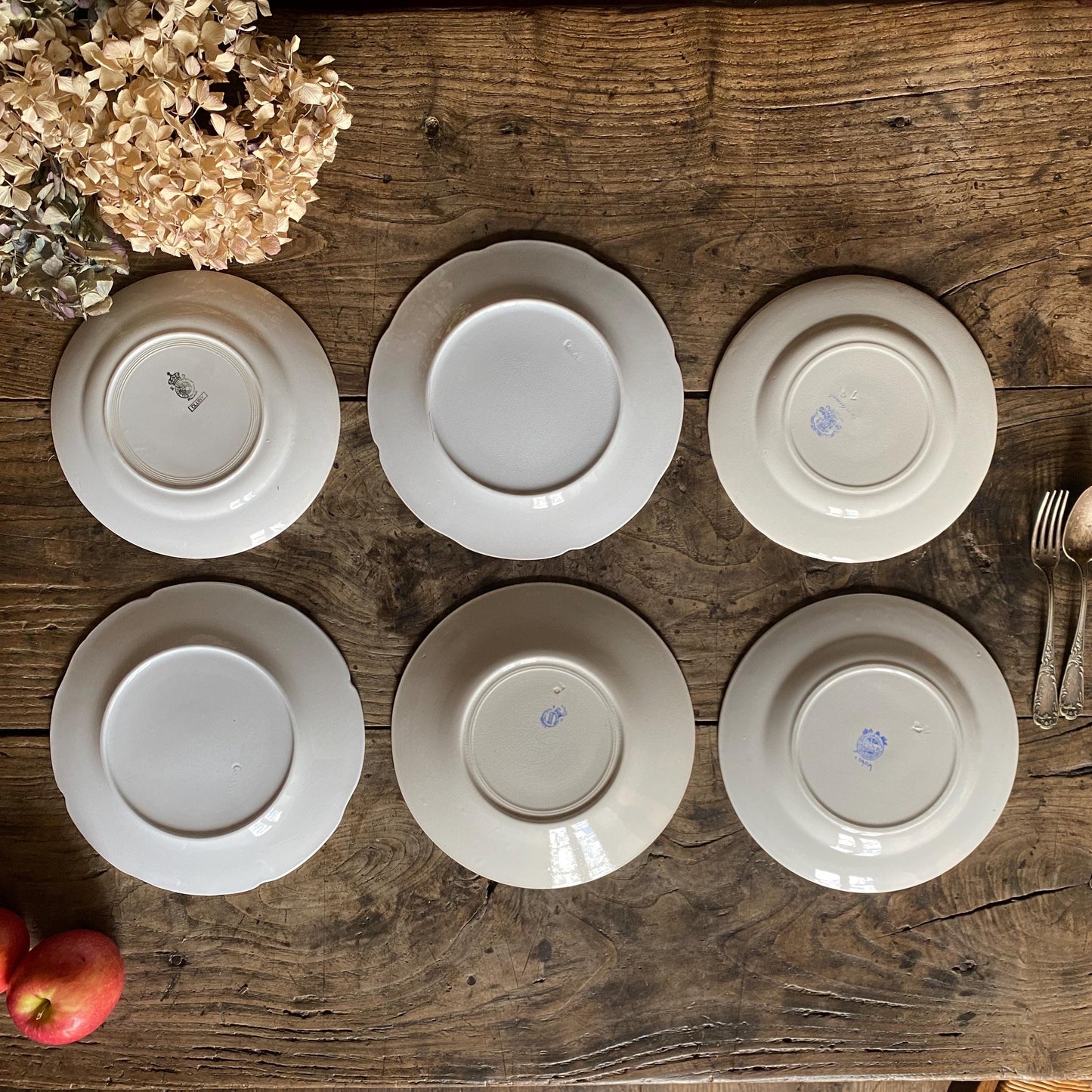 SET 6 mismatched vintage ironstone dinner plates, blue and white transferware floral patterns, France c1880-1925