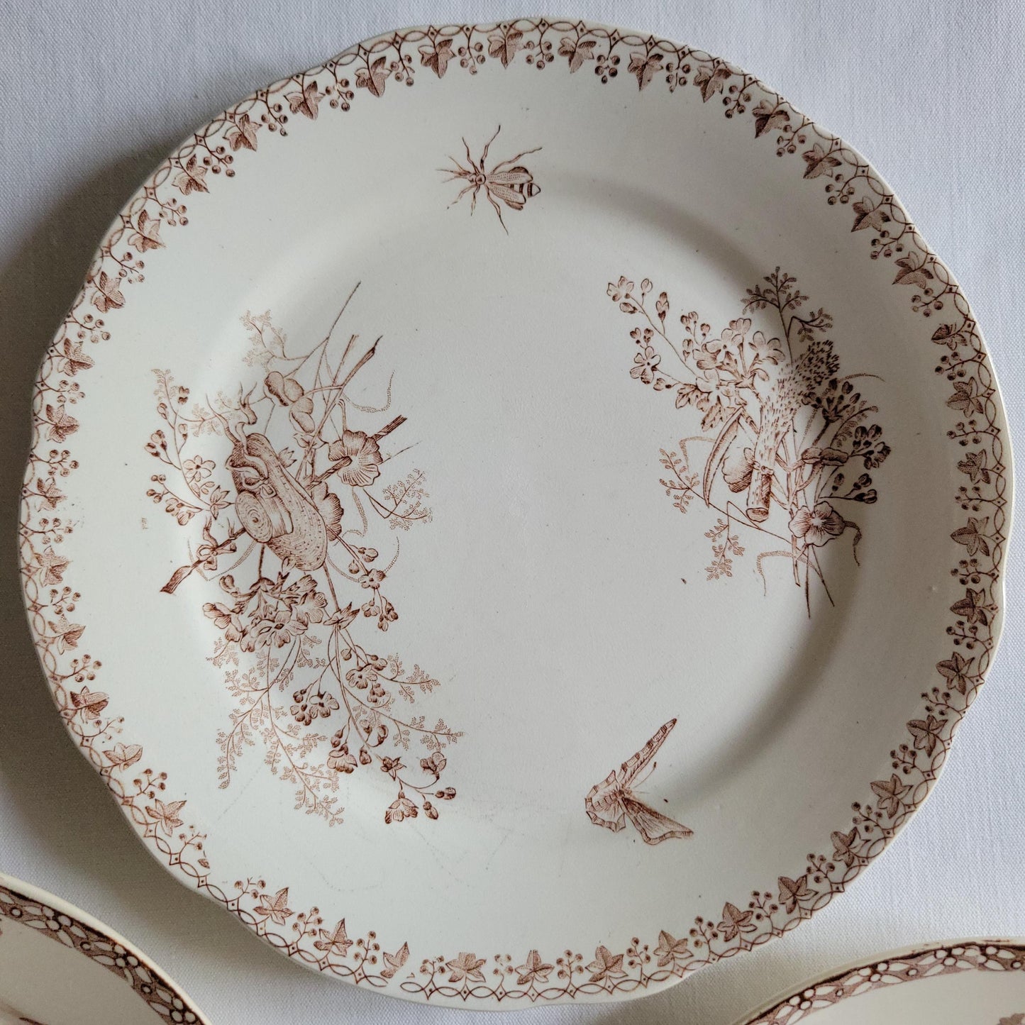 SET 6 mismatched French & English antique ironstone dinner plates, brown and white transferware 19th century
