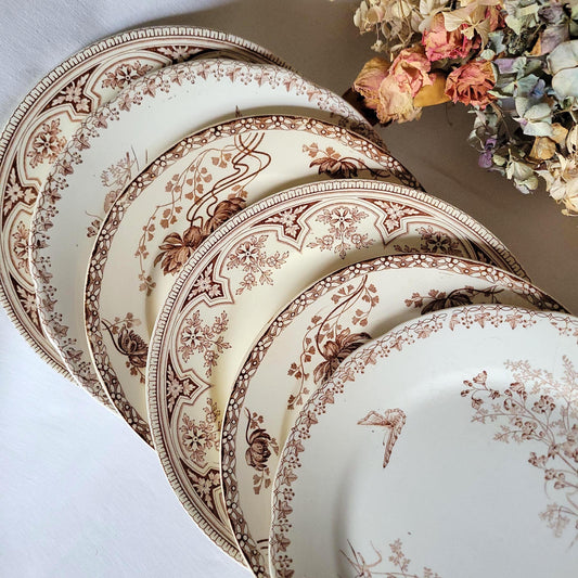SET 6 mismatched French & English antique ironstone dinner plates, brown and white transferware 19th century