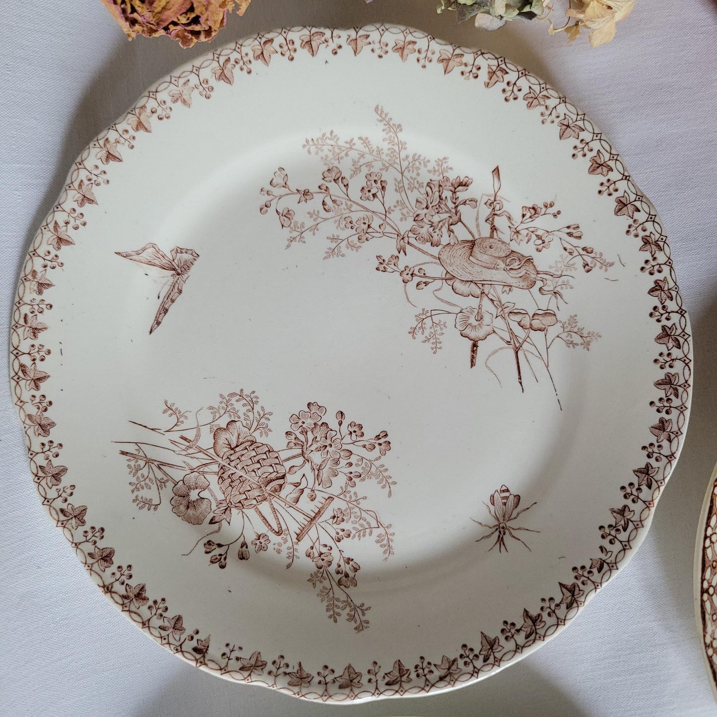 SET 6 mismatched French & English antique ironstone dinner plates, brown and white transferware 19th century